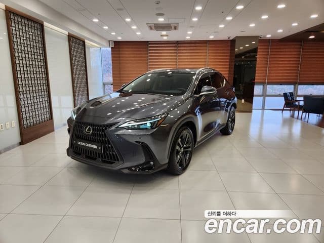 Lexus NX350h 2세대 Premium, 2025 1