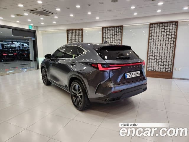 Lexus NX350h 2세대 Premium, 2025 2
