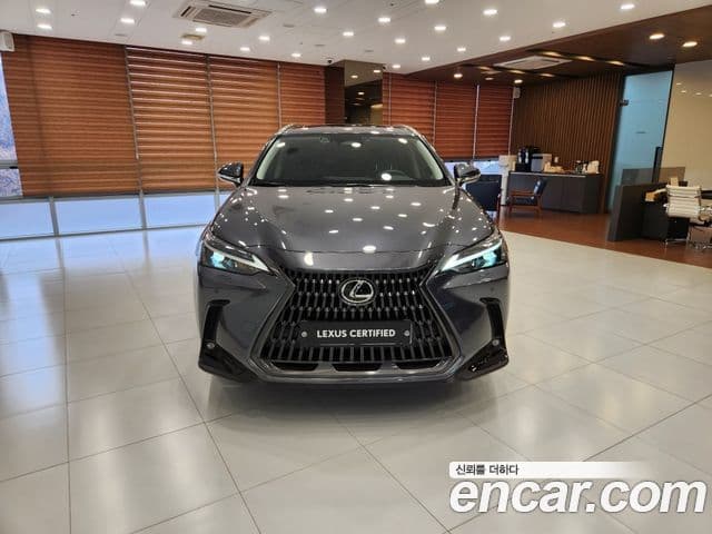 Lexus NX350h 2세대 Premium, 2025 3