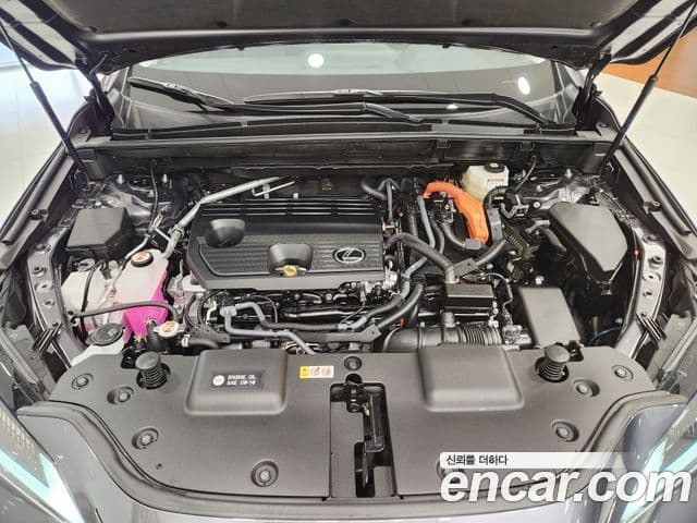Lexus NX350h 2세대 Premium, 2025 13