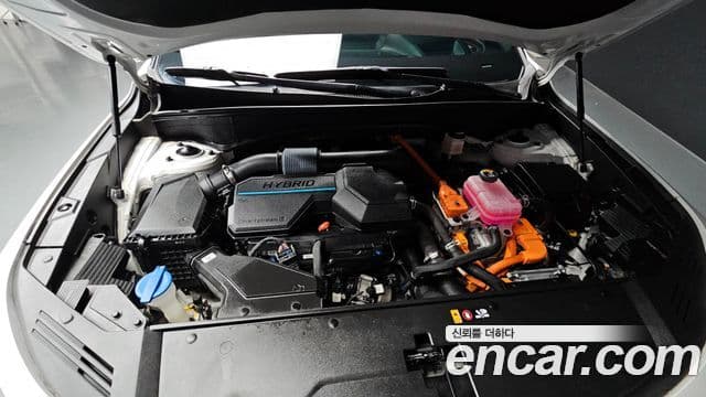 Kia Sorento 4세대 Noblesse, 2023 6