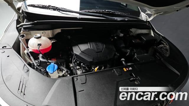 Kia Carnival 4세대 Prestige, 2021 6