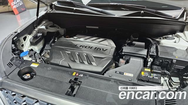 Hyundai Palisade Prestige, 2019 6