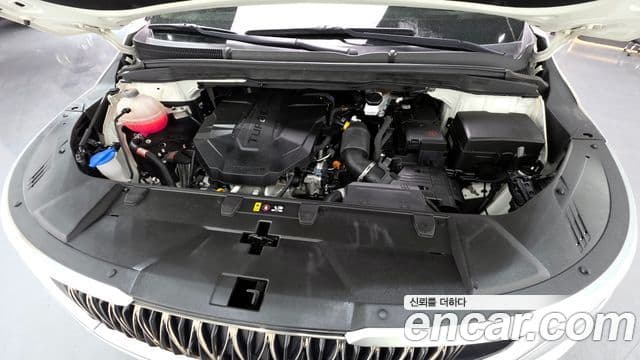 Kia Carnival 4세대 Prestige, 2021 6