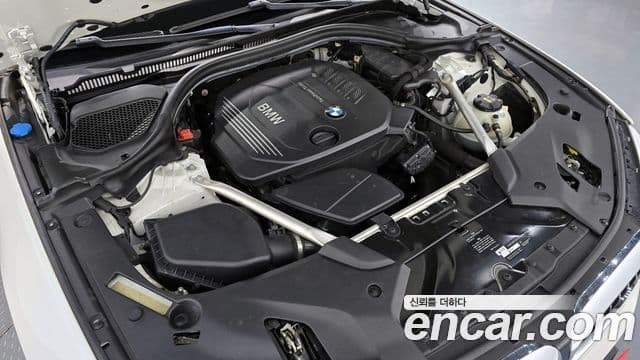 BMW 5시리즈 (G30) 520d xDrive Luxury Plus, 2018 6