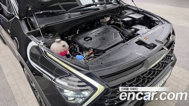 Kia Sportage 5세대 30th Anniversary Edition, 2024 6