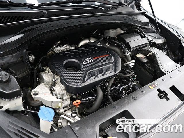 Hyundai Santa Fe TM Inspiration, 2020 19