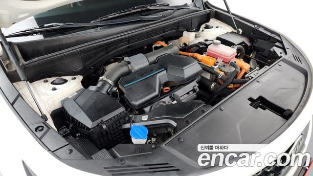 Kia Sorento 4세대 Noblesse, 2021 6