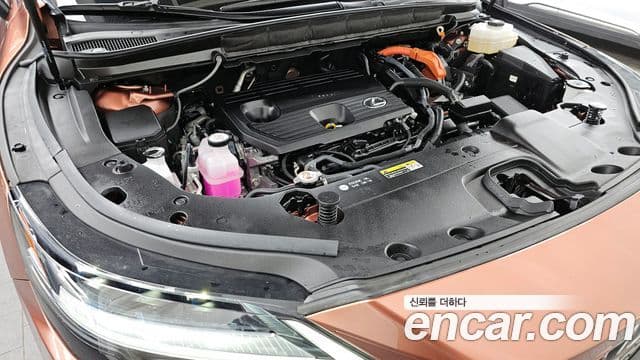 Lexus RX350h 5세대 Premium, 2024 6