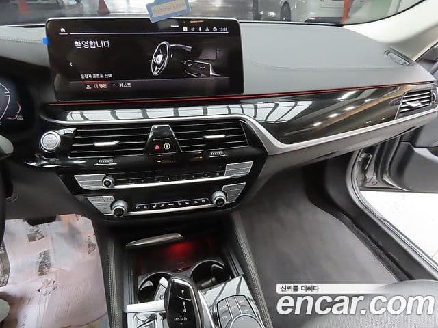 BMW 5시리즈 (G30) Luxury, 2021 9