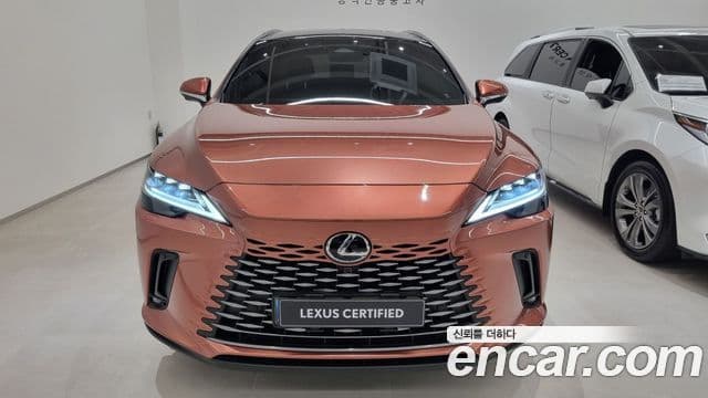 Lexus RX350h 5세대 Luxury, 2025 3