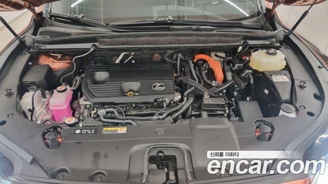 Lexus RX350h 5세대 Luxury, 2025 6