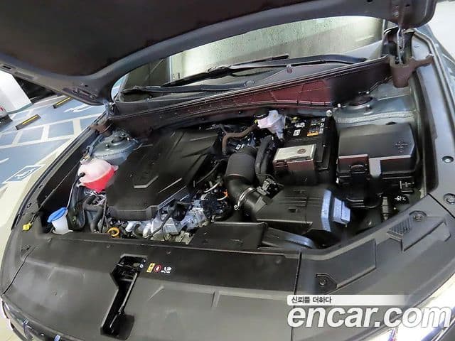 Hyundai Tucson (NX4) Inspiration, 2023 6