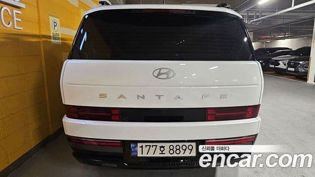 Hyundai Santa Fe (MX5) Calligraphy, 2024 все фото