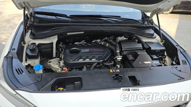 Hyundai Santa Fe TM Exclusive Special, 2019 6