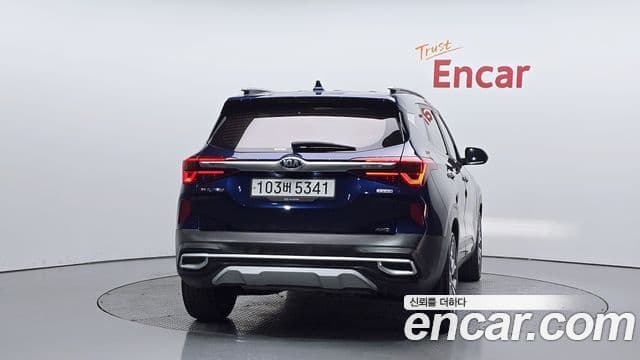 Kia Seltos Noblesse, 2020 4