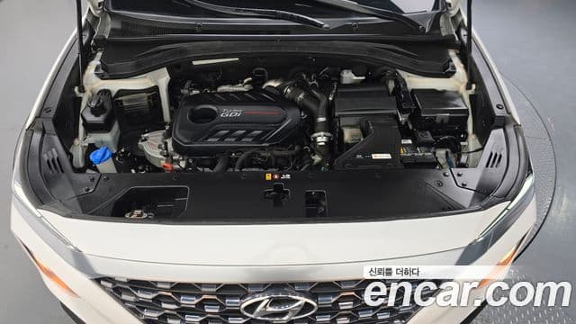 Hyundai Santa Fe TM Exclusive, 2020 6