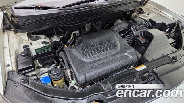 Hyundai Santa Fe CM Luxury, 2010 6