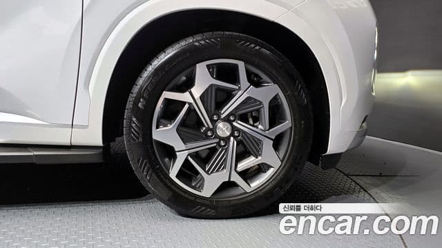 Hyundai Palisade Calligraphy, 2021 все фото