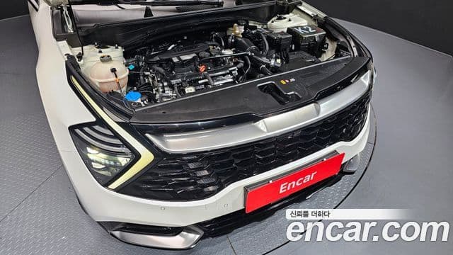 Kia Sportage 5세대 Signature, 2022 6