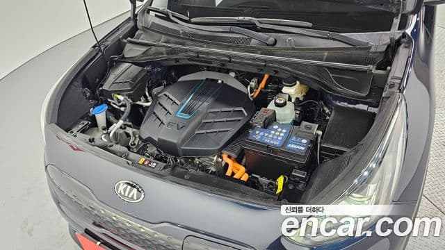 Kia Niro EV Noblesse, 2020 6