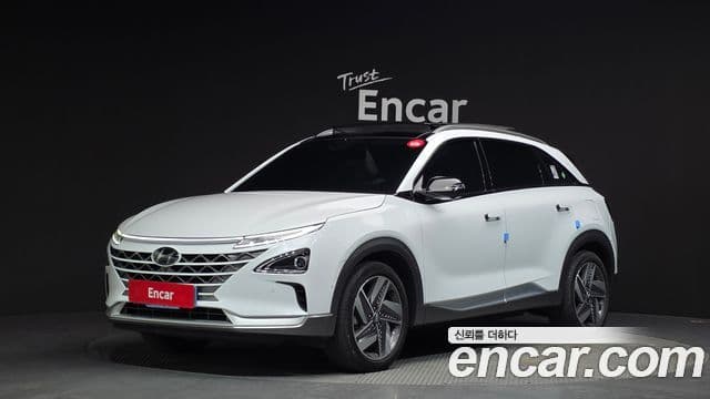 Hyundai NEXO Premium, 2024 1
