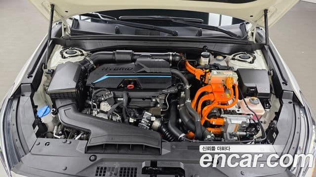 Kia K8 гибрид Noblesse, 2023 6