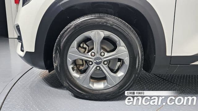 Kia Seltos Trendy, 2023 все фото