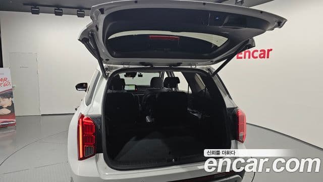 Hyundai The / новый New Palisade Le Blanc, 2024 20