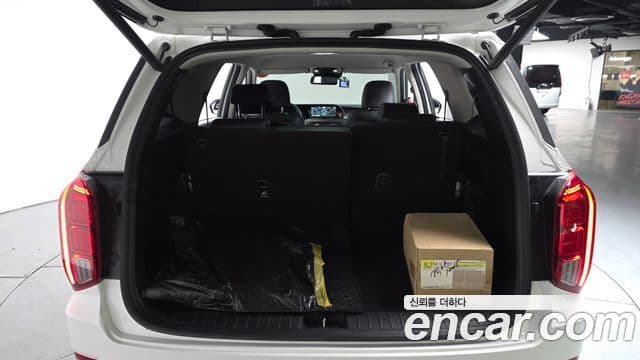 Hyundai Palisade Exclusive, 2021 19