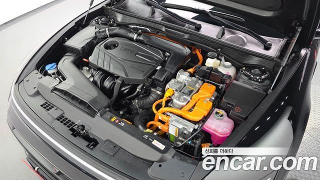 Hyundai Sonata D Edge гибрид(DN8) Premium, 2024 6