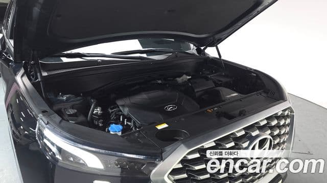 Hyundai Palisade Prestige, 2021 6