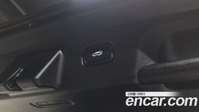 Hyundai Palisade Prestige, 2021 20