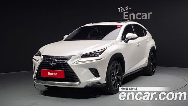 Lexus NX300h Executive, 2018 1