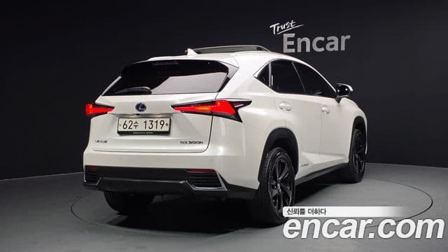 Lexus NX300h Executive, 2018 2