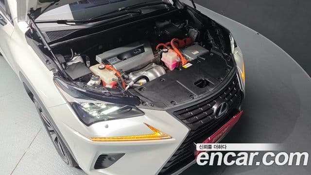 Lexus NX300h Executive, 2018 6