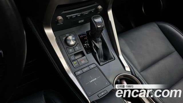 Lexus NX300h Executive, 2018 9