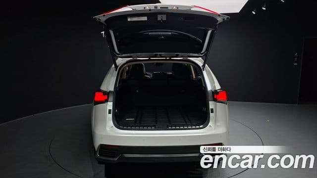 Lexus NX300h Executive, 2018 20