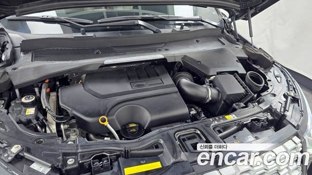 Land Rover Discovery Sport 2세대 P250 SE, 2023 6