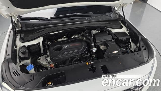 Hyundai Santa Fe TM Prestige, 2020 6