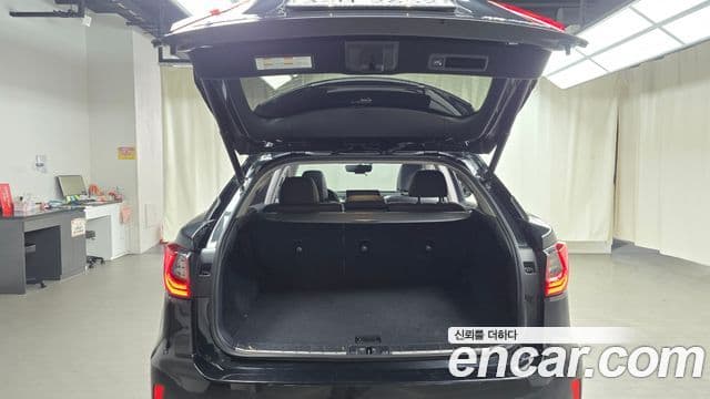 Lexus RX450h 4세대 Executive, 2017 20