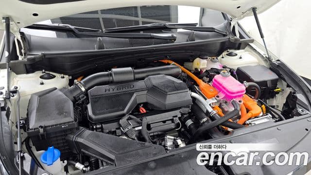 Kia Sportage 5세대 гибрид Noblesse 2WD, 2024 6