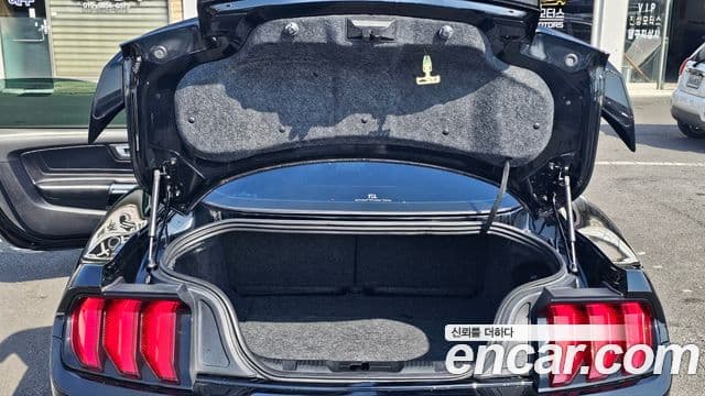 Ford Mustang купе, 2018 19