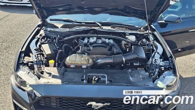 Ford Mustang купе, 2018 20