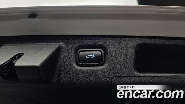 Hyundai Santa Fe TM Exclusive, 2020 20