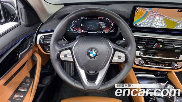BMW 5시리즈 (G30) Luxury, 2022 13