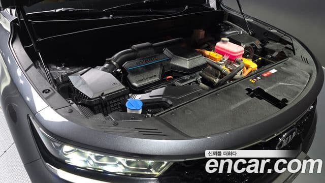 Kia Sorento 4세대 Noblesse, 2021 6