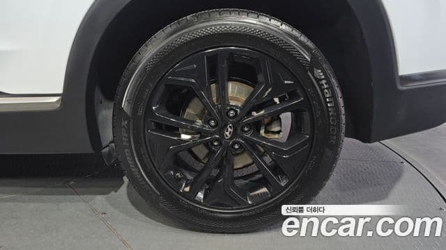 Hyundai Santa Fe TM Exclusive Special, 2019 все фото