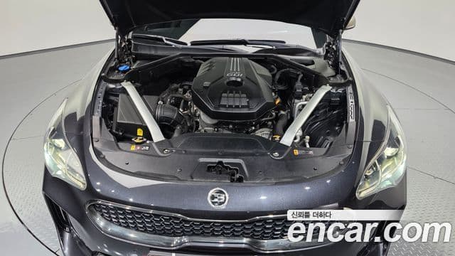 Kia 스팅어 Platinum, 2019 6