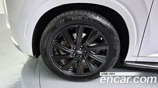 Hyundai Palisade Calligraphy, 2021 все фото